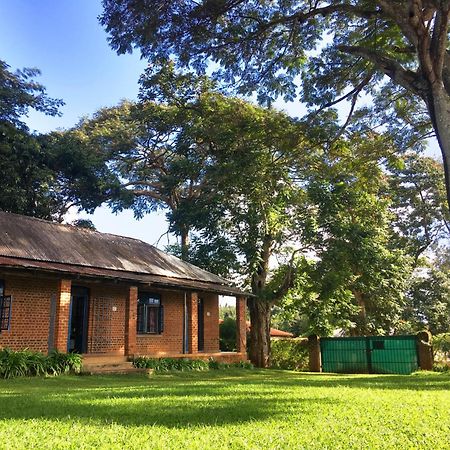 Africawildtruck Eco Camp & Lodge Mulanje Kültér fotó