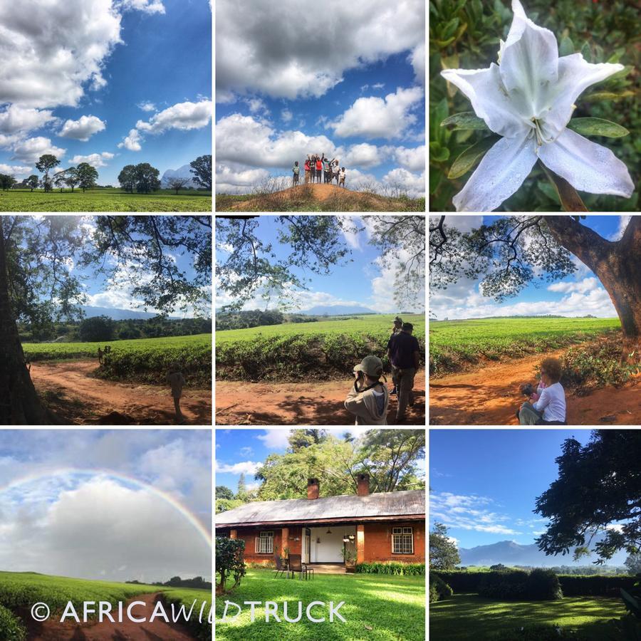 Africawildtruck Eco Camp & Lodge Mulanje Kültér fotó